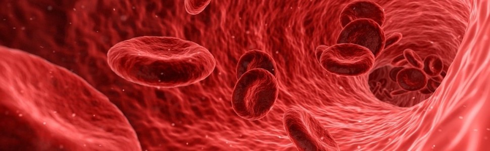 Krwiotwórcze komórki macierzyste krwi pępowinowej – stan wiedzy w 2023 roku
