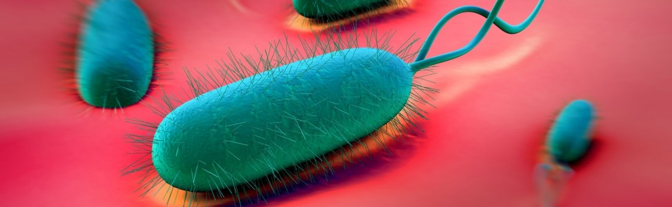 Związek między infekcją Helicobacter pylori a ostrą biegunką bakteryjną u dzieci