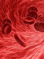 Krwiotwórcze komórki macierzyste krwi pępowinowej – stan wiedzy w 2023 roku